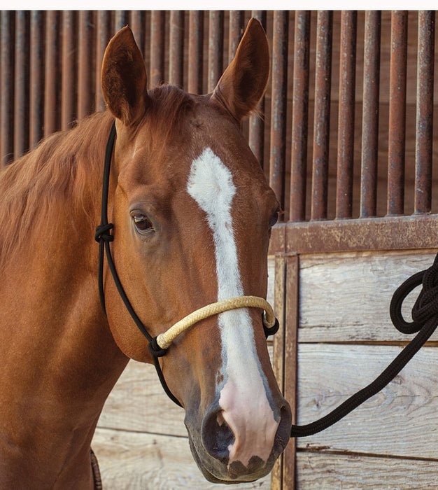 Classic Equine Braided Rawhide Nylon Rope Halter - Green  