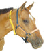 Yellow Numbered Mare ID Neck Strap - Yellow 14 