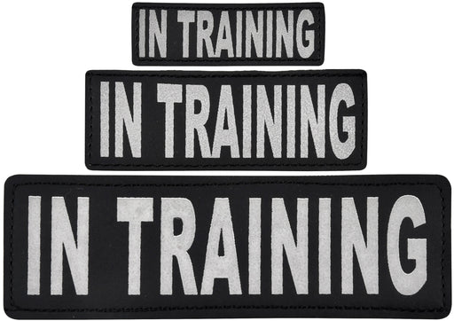 Reflective "In Training" Patches, Set of 2 - A  