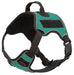 Quest Multi-Purpose Harness, XSmall - Teal  