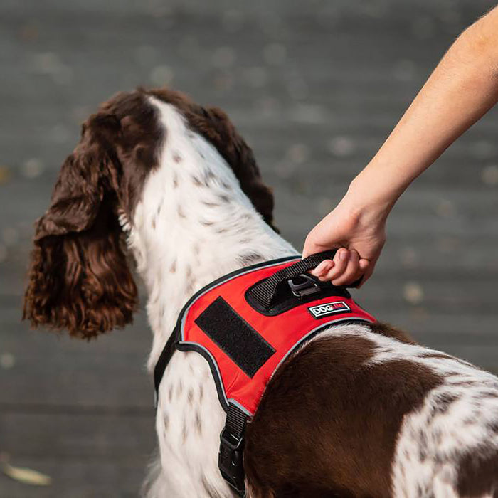 Quest Multi-Purpose Harness, XSmall - Red  