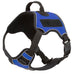 Quest Multi-Purpose Harness, XLarge - Blue  