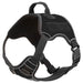 Quest Multi-Purpose Harness, XLarge - Black  