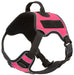 Quest Multi-Purpose Harness, XLarge - Pink  