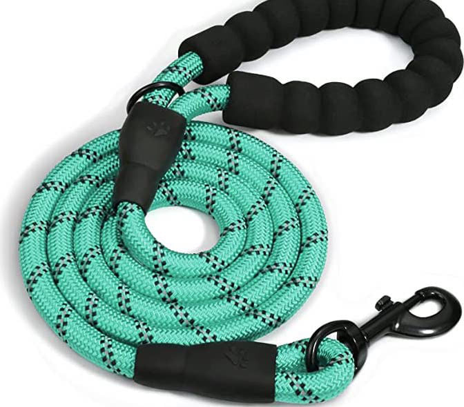 Doggy Tales Braided Rope Leash, 5 ft - Turquoise  