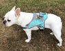 Doggy Tales Patented Realtree Hart Harness, Sea Glass - Doggy Tales Patented Realtree Hart Harness, Sea Glass, 60/2X  