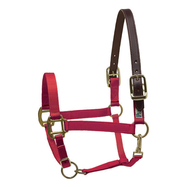 Perri's Nylon Breakaway Halter, Cob Size - Red  