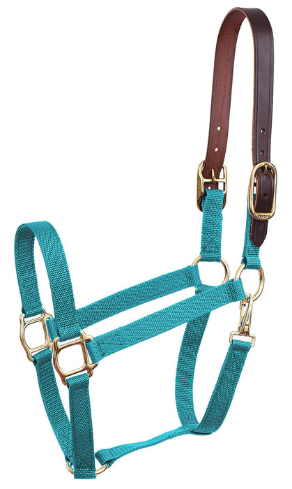 Economy Nylon Safety Horse Halter - Turquoise Mini B 