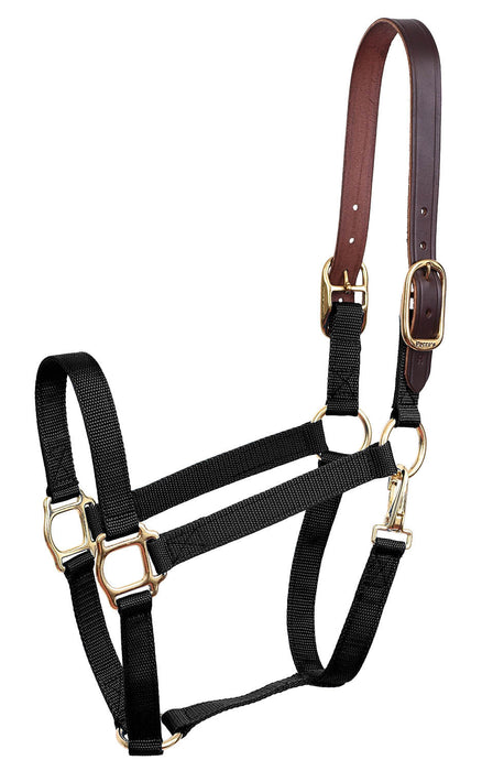 Economy Nylon Safety Horse Halter - Black Pony 