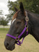 Breakaway Horse Halter, Horse Size - Purple  