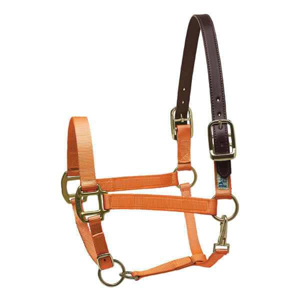 Perri's Nylon Breakaway Halter, Cob Size - Orange  