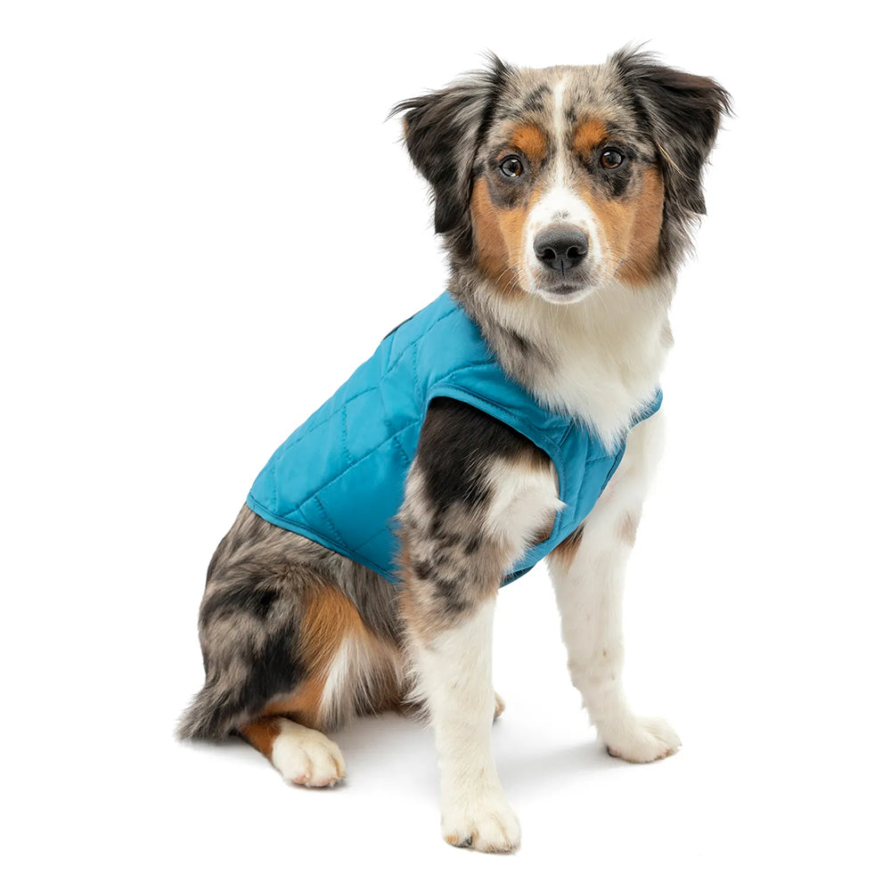 Ropa y accesorios para perros