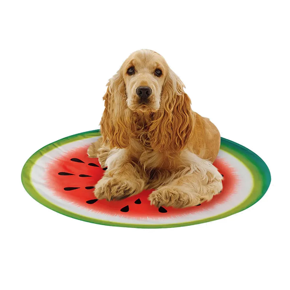 Cooling Products for Dogs