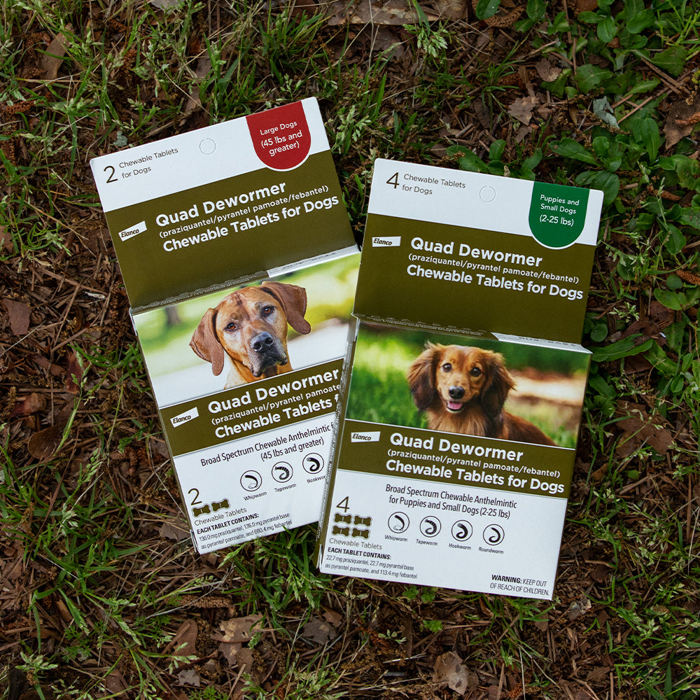 Dog Supplies & Premium Dog Products — Jeffers