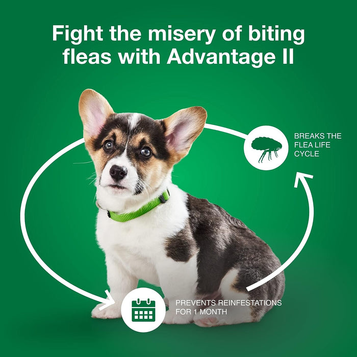 Advantage II for Dogs - 4 pack, Advantage II for Small Dogs (3-10 lbs)  