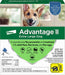 Advantage II for Dogs - 4 pack, Advantage II for XLarge Dogs (over 55 lbs)  