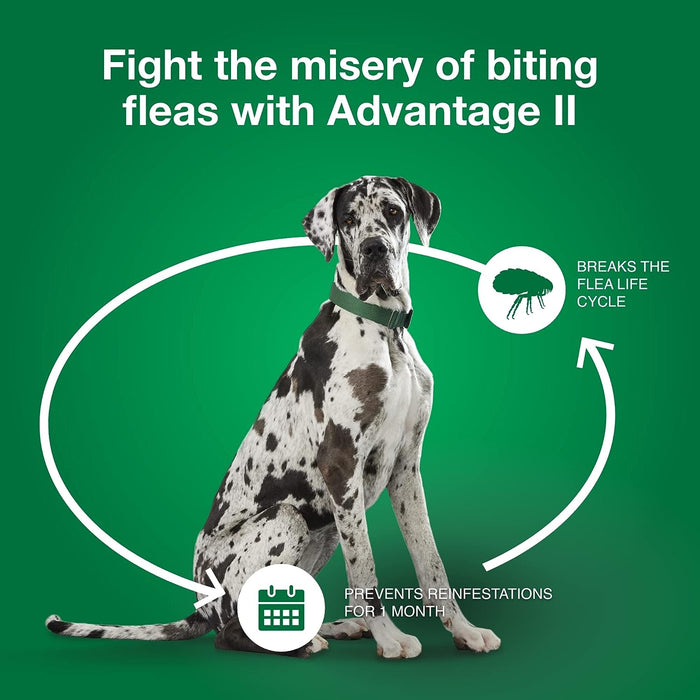 Advantage II for Dogs - 6 pack, Advantage II for XLarge Dogs (over 55 lbs)  