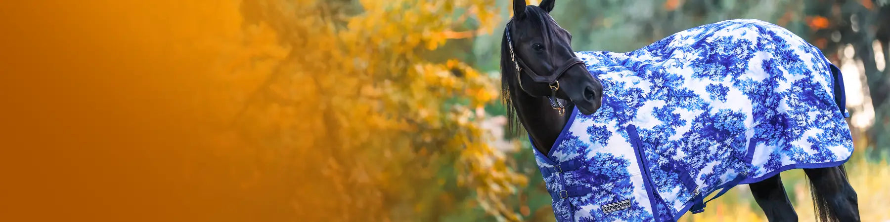 Horse wearing a Jeffers Expression Equestrian Toile blue and white patterned blanket with a blurred fall background