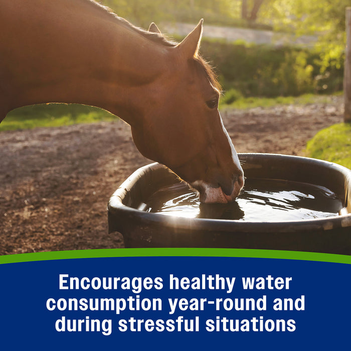 Polvo electrolítico Elite de Farnam Apple, suministro para 40 días, 5 libras