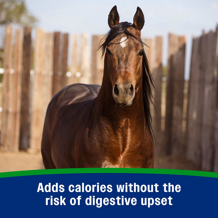 Constructor de pesas Farnam