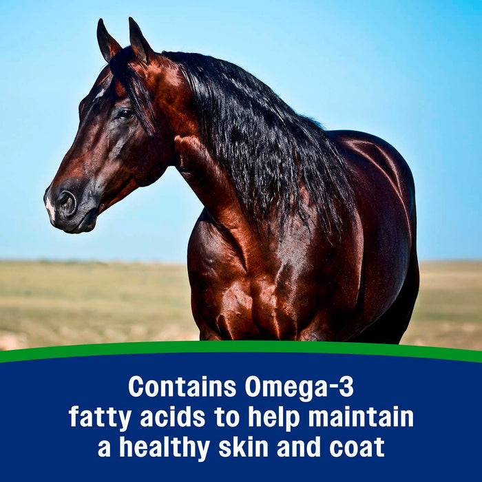 Constructor de pesas Farnam