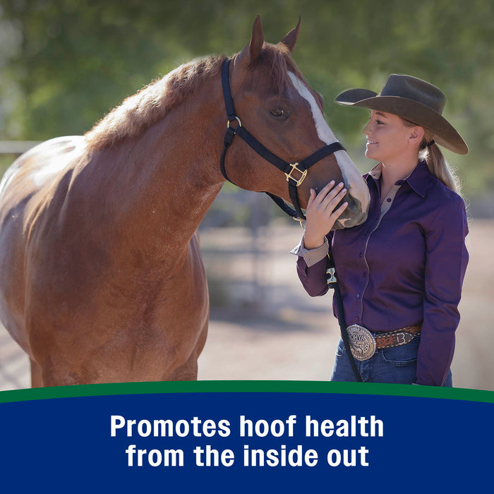Suplemento granulado para cascos Horseshoer's Secret