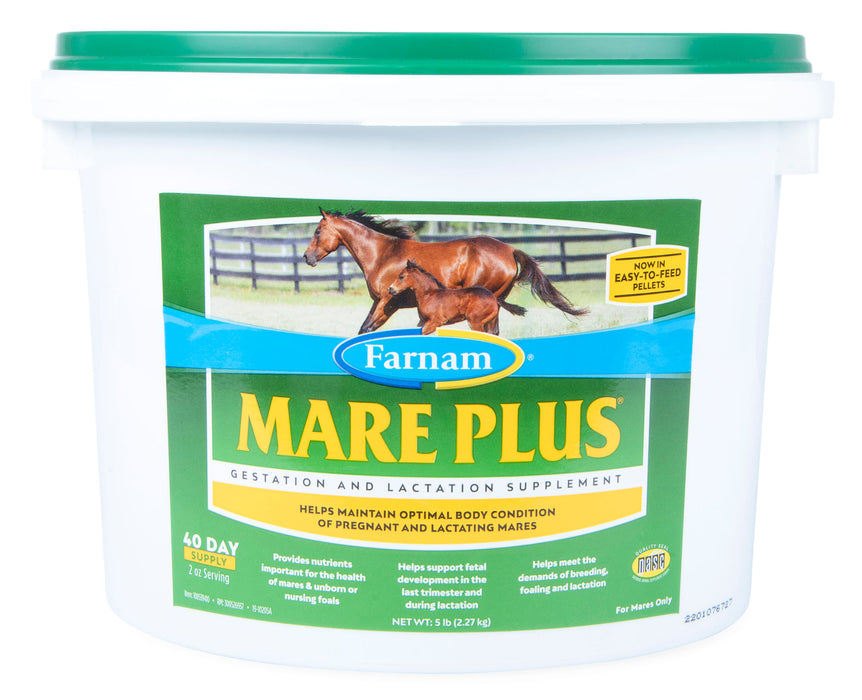 Mare Plus Gestation and Lactation Supplement - 5 lb Mare Plus Gestation and Lactation Supplement  