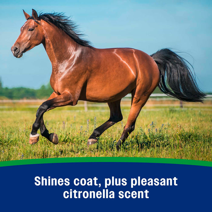 Wipe II with Citronella