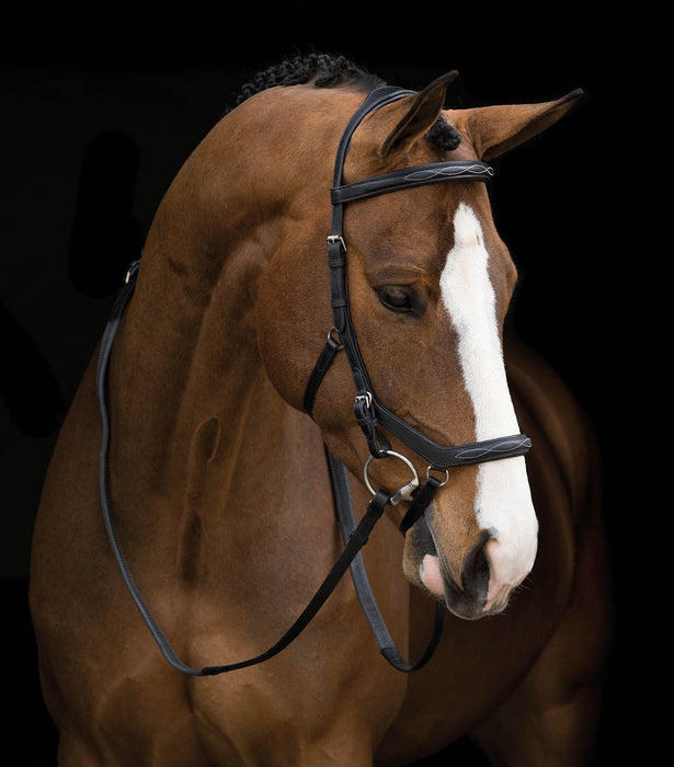 Rambo Micklem Deluxe Competition Bridle, Black - Oversized  