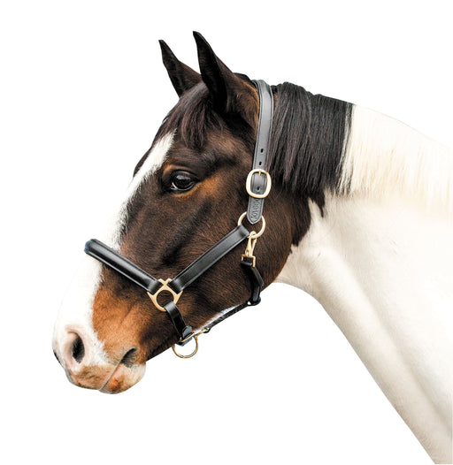 Loveson Leather Horse Halter - Brown Full 