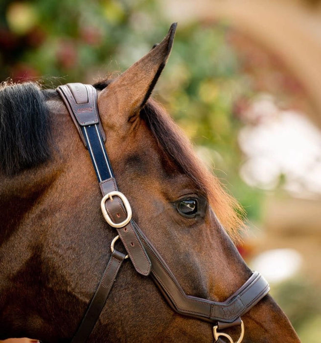 Rambo Micklem Leather Horse Halter - Brown Cob 