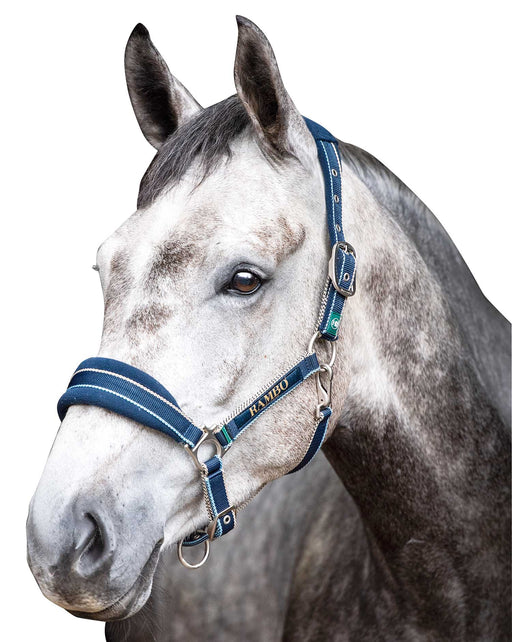 Rambo Padded Halter, Witney Navy - Horse  