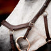 2.0 Micklem Competition Bridle, Havana - Dark Havana Cob 