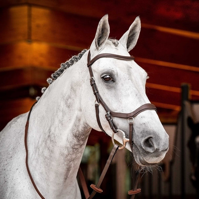 2.0 Micklem Competition Bridle, Havana - Dark Havana Oversized 