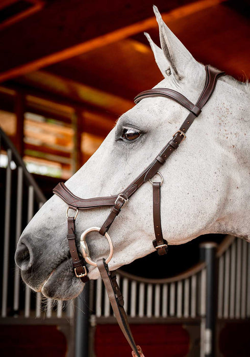 2.0 Micklem Competition Bridle, Havana - Dark Havana Cob 