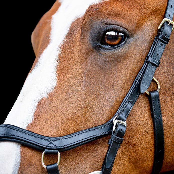 Micklem 2.0 Competition Bridle, Black - Black Cob 