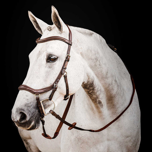 Micklem 2.0 Deluxe Competition Bridle, Havana - Dark Havana Cob 