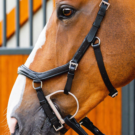 Micklem 2.0 Deluxe Competition Bridle, Black - Black Cob 