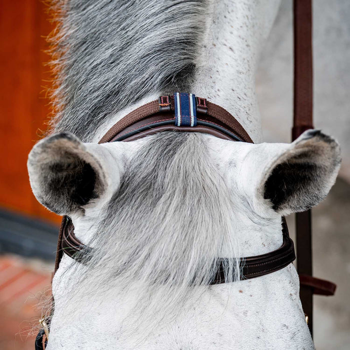 Micklem 2.0 Multi Bridle, Havana - Dark Havana Cob 