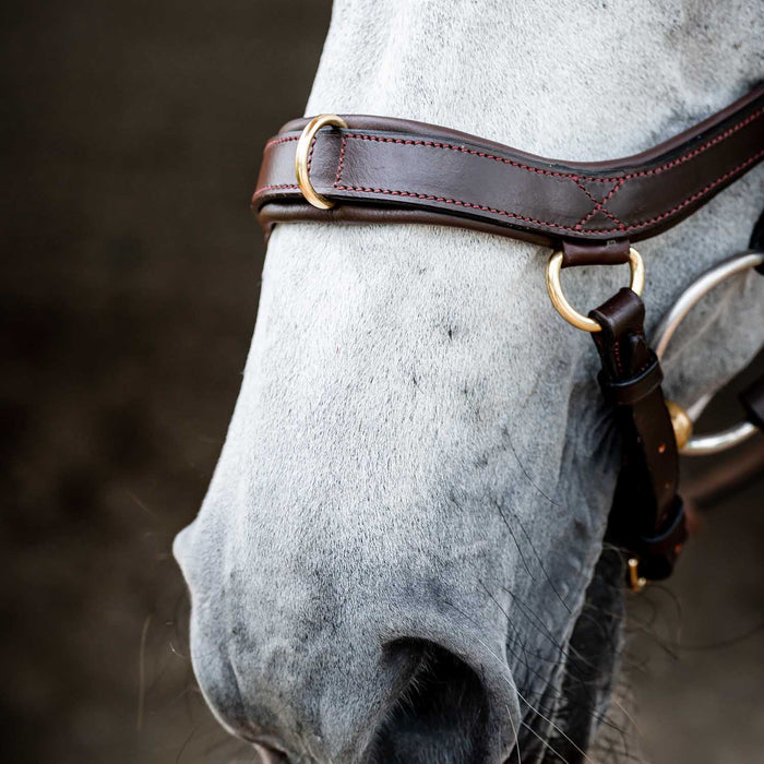 Micklem 2.0 Multi Bridle, Havana - Dark Havana Cob 