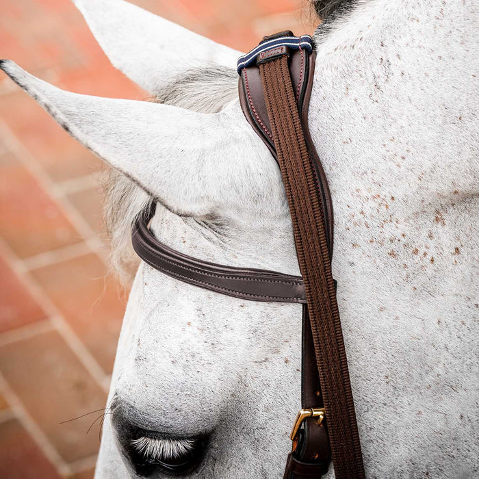 Micklem 2.0 Multi Bridle, Havana - Dark Havana Cob 