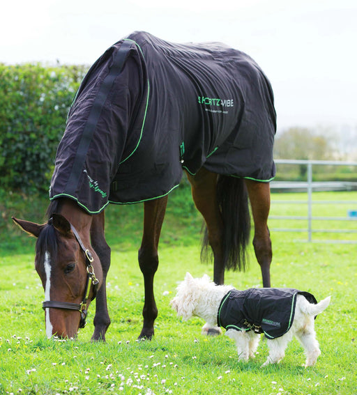 Sportz-Vibe Massage Therapy Blanket for Horses - Small  