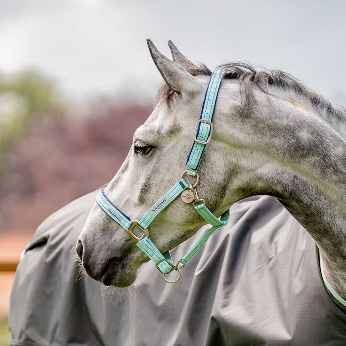 Horseware FieldSafe Halter - Blue Haze Cob 