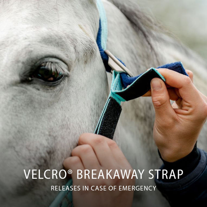 Horseware FieldSafe Halter - Blue Haze Cob 