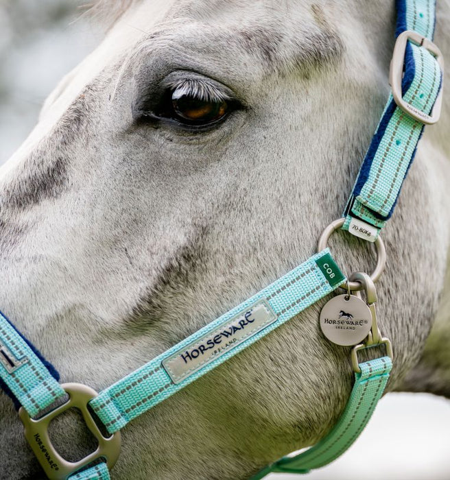 Horseware FieldSafe Halter - Blue Haze Cob 