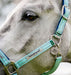 Horseware FieldSafe Halter - Blue Haze Cob 