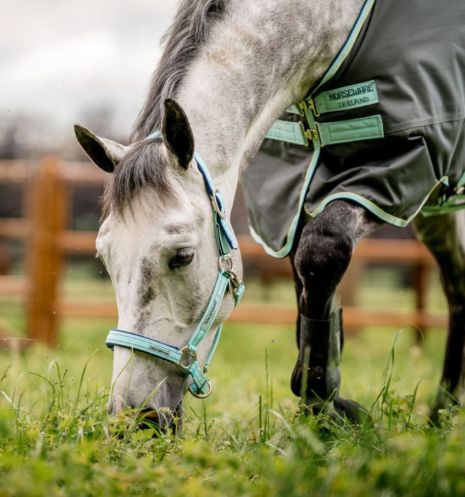 Horseware FieldSafe Halter - Blue Haze Cob 