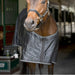 Amigo Quarter Horse Stable Blanket Color Black