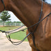 Uniquely English Running Martingale -   