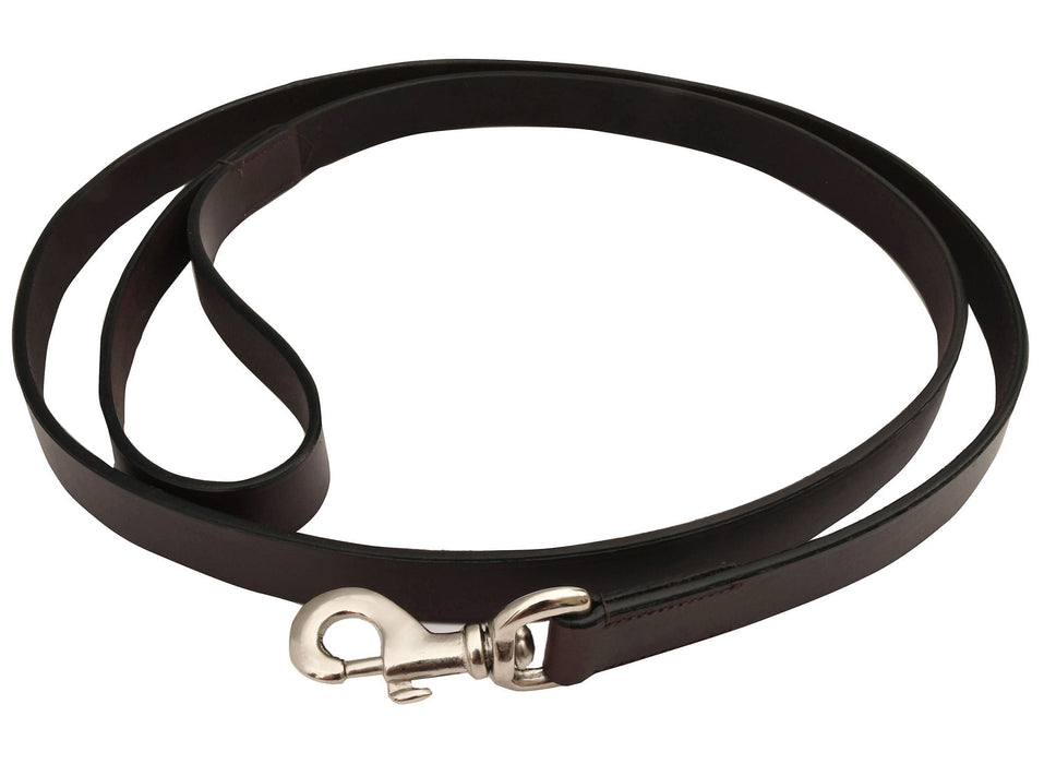 Jeffers Premium Flat Leather Leash, 6' - 6' x 1"W Jeffers Premium Flat Leather Leash  